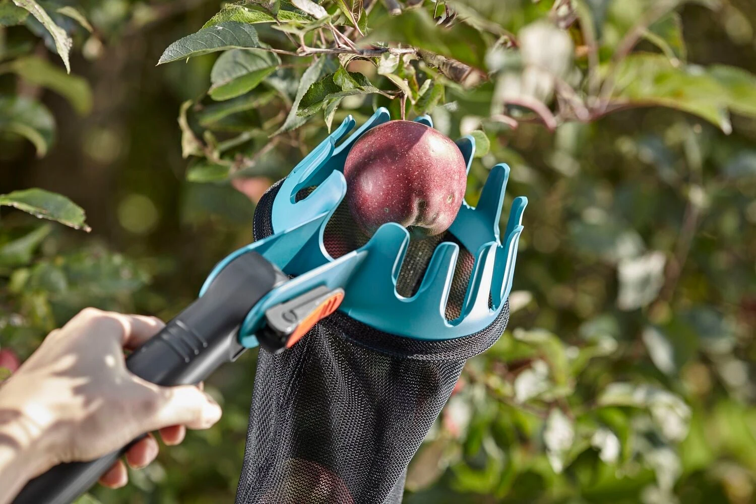 Gardena Combisystem Fruitplukker 49 X 17,5 X 7,3 Cm 5 Gardena Combisystem Fruitplukker 49 X 17,5 X 7,3 Cm - Afbeelding 3