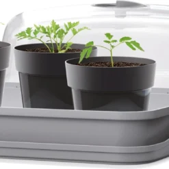 Intratuin Kweekbak Grijs 39,1 X 25,7 X 18,5 Cm -Goedkope Hof Liefde Winkel 5905197264356 4