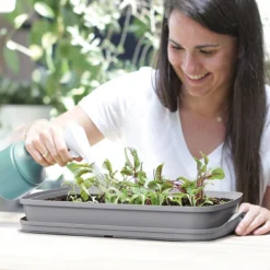 Intratuin Kweekbak Grijs 39,1 X 25,7 X 18,5 Cm -Goedkope Hof Liefde Winkel 5905197264356 7