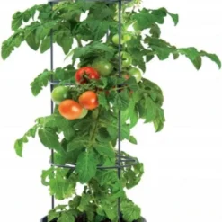 Intratuin Groeitoren Tomaten Antraciet 39 X 31,5 X 153 Cm -Goedkope Hof Liefde Winkel 5905197289113 3