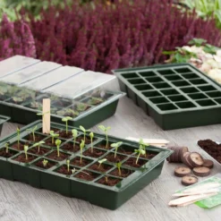 Nature Kweekbakset 35x23,5x11cm 4st 6 Nature Kweekbakset 35x23,5x11cm 4st -Goedkope Hof Liefde Winkel 8711338202029 1 1