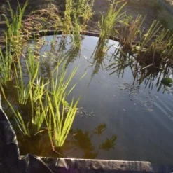 Ubbink Borderrand H 19 Cm X 15 M -Goedkope Hof Liefde Winkel 8711465301015 5