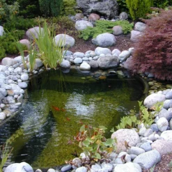 Ubbink Vijverbak Start 250 L 133 X 105 X 46 Cm -Goedkope Hof Liefde Winkel 8711465810302 3