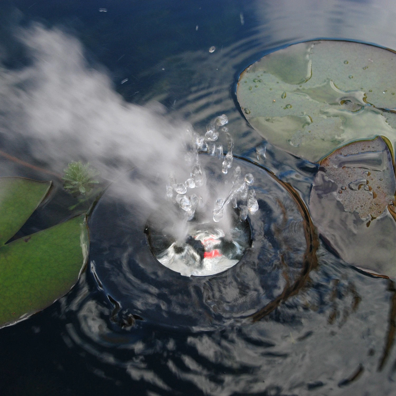 Ubbink Vernevelaar MystMaker III Outdoor D 15,7 H 7 Cm 5 Ubbink Vernevelaar MystMaker III Outdoor D 15,7 H 7 Cm - Afbeelding 3