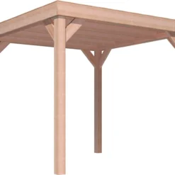 Overkapping Douglas 247 X 270 X 270 Cm