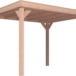 Overkapping Douglas 247 X 330 X 270 Cm