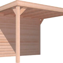 Overkapping Douglas 244 X 270 X 330 + Achterwand Zweeds Rabat