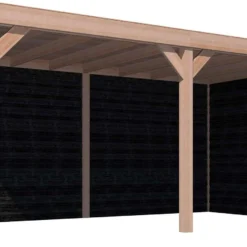 Overkapping Met Achterwand En Zijwand Zwart / Douglas 270 X 522 Cm
