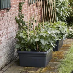 Elho Kweekbak Op Wielen Green Basics Zwart 76,7 X 57,9 X 29 Cm -Goedkope Hof Liefde Winkel 8711904316662 5