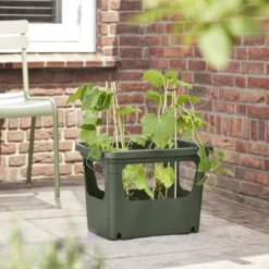 Elho Kweekbak Groen 50 X 35 X 36 Cm -Goedkope Hof Liefde Winkel 8711904494469 3