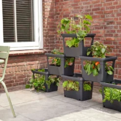 Elho Kweekbak Zwart 50 X 35 X 36 Cm -Goedkope Hof Liefde Winkel 8711904494490 5