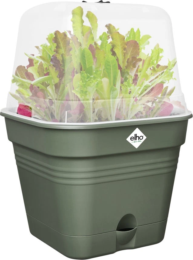 Elho Allin1 Kweekbak Groen / Transparant19,5 X 19,5 X 28,4 Cm 4 Elho Allin1 Kweekbak Groen / Transparant19,5 X 19,5 X 28,4 Cm - Afbeelding 2