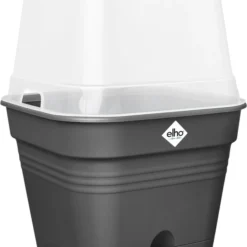 Elho Allin1 Kweekbak Zwart / Transparant19,5 X 19,5 X 28,4 Cm