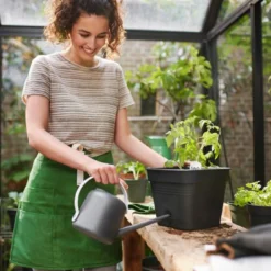 Elho Allin1 Kweekbak Zwart / Transparant 34,6 X 34,6 X 50,3 Cm 9 Elho Allin1 Kweekbak Zwart / Transparant 34,6 X 34,6 X 50,3 Cm -Goedkope Hof Liefde Winkel 8711904515638 3