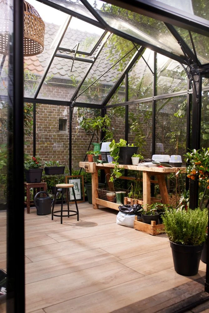 Elho Allin1 Kweekbak Zwart / Transparant 32 X 18 X 21,6 Cm 6 Elho Allin1 Kweekbak Zwart / Transparant 32 X 18 X 21,6 Cm - Afbeelding 4