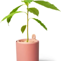 Goedkope Hof Liefde Winkel -Goedkope Hof Liefde Winkel 8711904519490 1