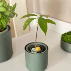 Elho Green Basic Kweekpot Groen D 12 X H 12,1 Cm -Goedkope Hof Liefde Winkel 8711904519520 3