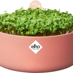 Goedkope Hof Liefde Winkel -Goedkope Hof Liefde Winkel 8711904520724 1