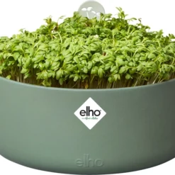Elho Green Basic Kweekpot Groen D 16,8 X H 7,1 Cm -Goedkope Hof Liefde Winkel 8711904520755 1