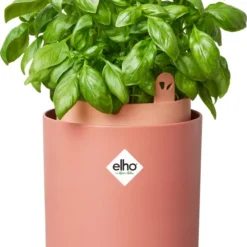 Elho Green Basic Kweekpot Terracotta D 17 X H 21 Cm 7 Elho Green Basic Kweekpot Terracotta D 17 X H 21 Cm -Goedkope Hof Liefde Winkel 8711904520861 1