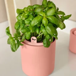 Elho Green Basic Kweekpot Terracotta D 17 X H 21 Cm 9 Elho Green Basic Kweekpot Terracotta D 17 X H 21 Cm -Goedkope Hof Liefde Winkel 8711904520861 3