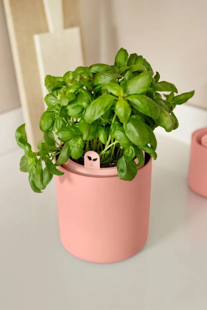 Elho Green Basic Kweekpot Terracotta D 17 X H 21 Cm 6 Elho Green Basic Kweekpot Terracotta D 17 X H 21 Cm - Afbeelding 4