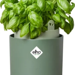 Elho Green Basic Kweekpot Groen D 16,5 X H 21 Cm -Goedkope Hof Liefde Winkel 8711904520892 1
