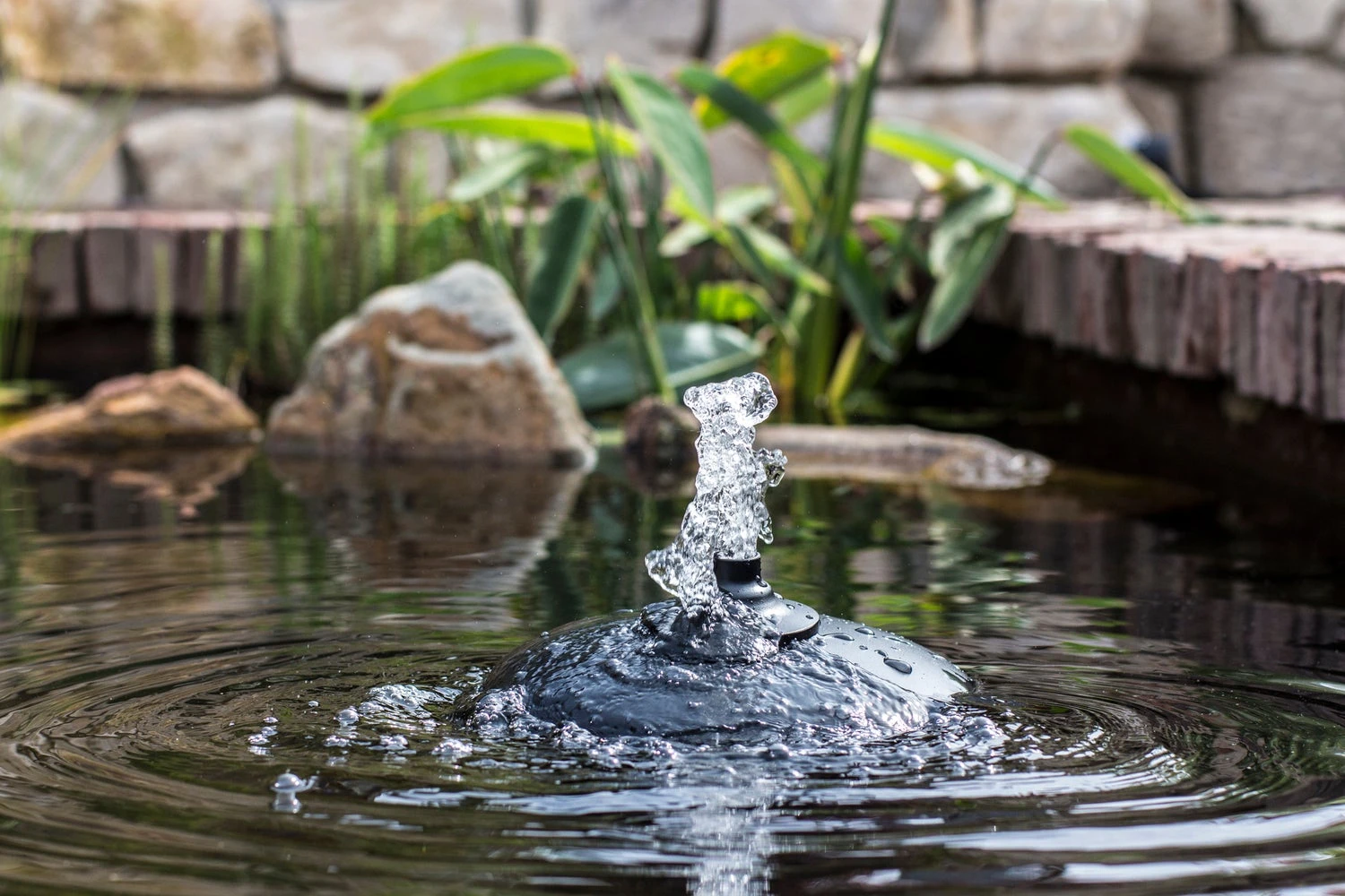 Velda Drijvend Combi Filter 2500 L/h 5 Velda Drijvend Combi Filter 2500 L/h - Afbeelding 3