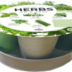 Florex Kruidenzaad Dienblad Met 5 Soorten Kruiden D 26 H 10 Cm