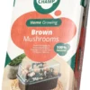 Mini Champ Home Growing Bruine Champignons 27,7 X 8,6 X 17,5 Cm 1 Mini Champ Home Growing Bruine Champignons 27,7 X 8,6 X 17,5 Cm -Goedkope Hof Liefde Winkel 8714508100170 1