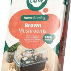 Mini Champ Home Growing Bruine Champignons 27,7 X 8,6 X 17,5 Cm
