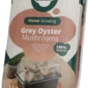 Mini Champ Home Growing Grijze Oesterzwam 27,7 X 8,6 X 17,5 Cm -Goedkope Hof Liefde Winkel 8714508100200 1