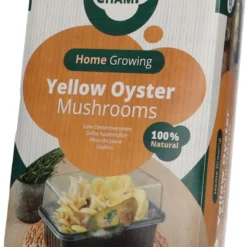 Mini Champ Home Growing Gele Oesterzwam 27,7 X 8,6 X 17,5 Cm