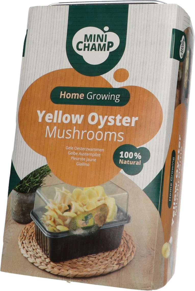 Mini Champ Home Growing Gele Oesterzwam 27,7 X 8,6 X 17,5 Cm 3 Mini Champ Home Growing Gele Oesterzwam 27,7 X 8,6 X 17,5 Cm