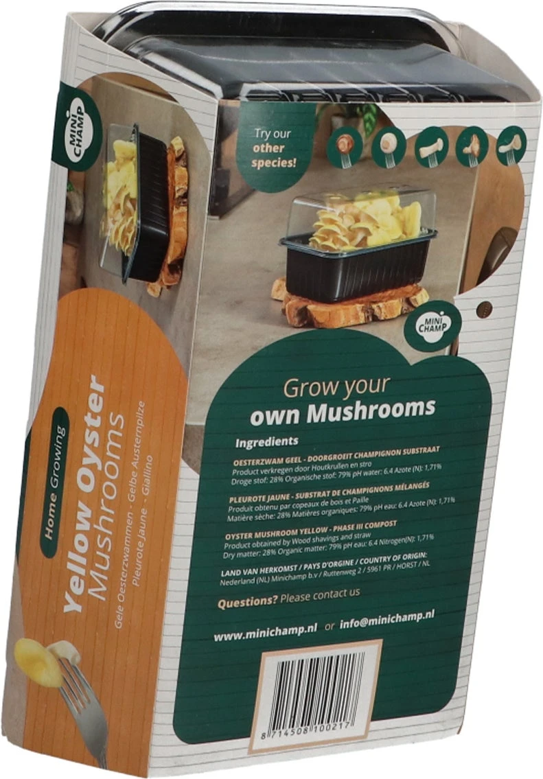 Mini Champ Home Growing Gele Oesterzwam 27,7 X 8,6 X 17,5 Cm 4 Mini Champ Home Growing Gele Oesterzwam 27,7 X 8,6 X 17,5 Cm - Afbeelding 2