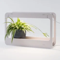 Intratuin Kweeklamp Wit Met LED Verlichting 48 X 21,3 X 40 Cm -Goedkope Hof Liefde Winkel 8717263811831 3