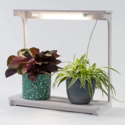 Intratuin Kweeklamp Wit Met LED Verlichting 48 X 20 X 47 Cm 7 Intratuin Kweeklamp Wit Met LED Verlichting 48 X 20 X 47 Cm -Goedkope Hof Liefde Winkel 8717263811848 3