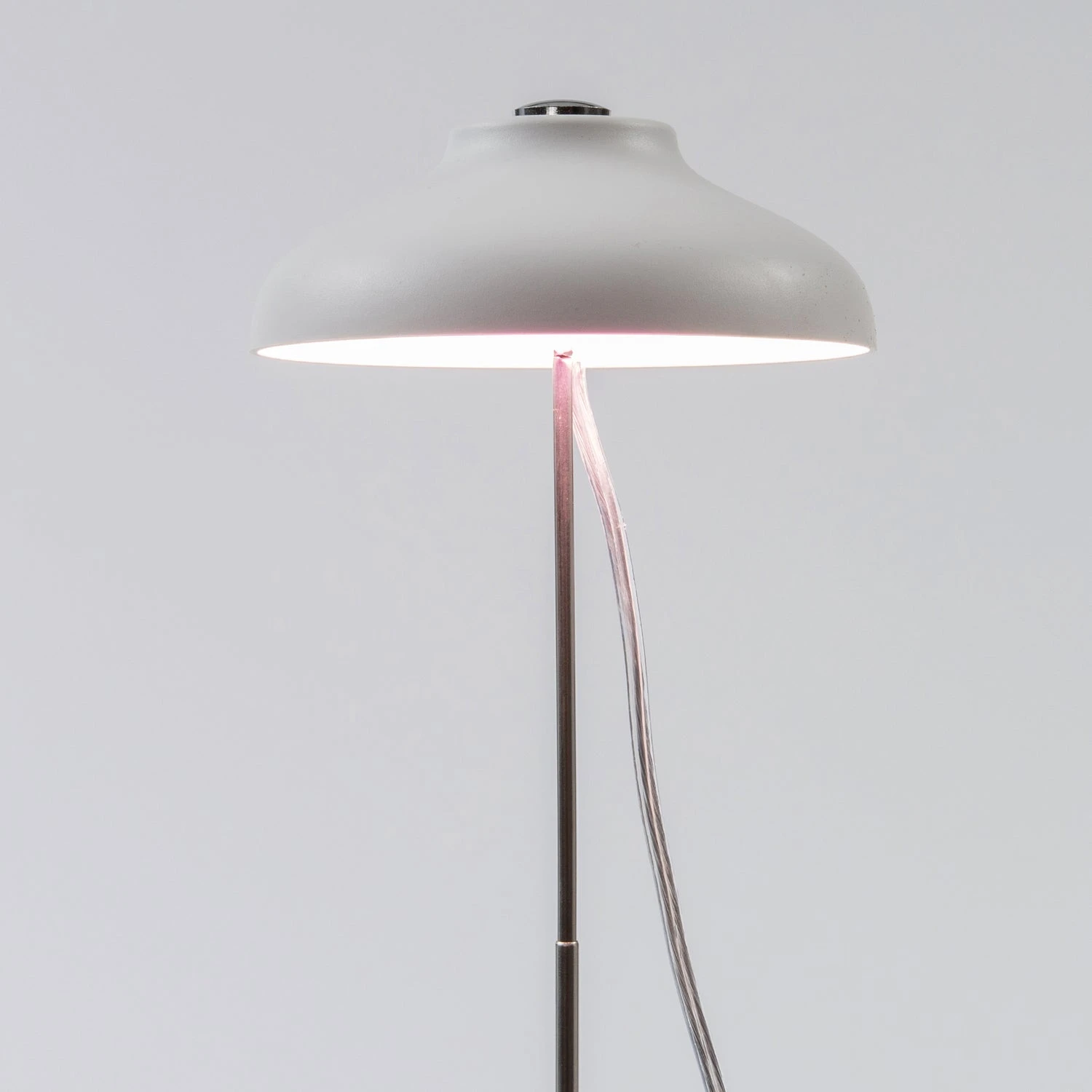 Intratuin Kweeklamp Wit Met LED Verlichting D 11 H 22 Cm 4 Intratuin Kweeklamp Wit Met LED Verlichting D 11 H 22 Cm - Afbeelding 2