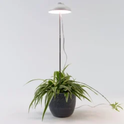 Intratuin Kweeklamp Wit Met LED Verlichting D 11 H 22 Cm 7 Intratuin Kweeklamp Wit Met LED Verlichting D 11 H 22 Cm -Goedkope Hof Liefde Winkel 8717263811855 3