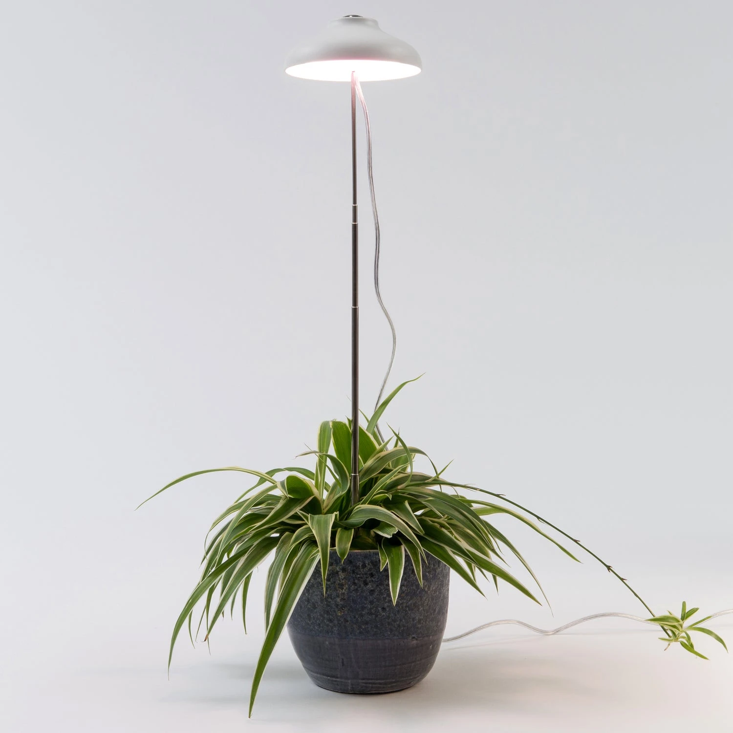 Intratuin Kweeklamp Wit Met LED Verlichting D 11 H 22 Cm 5 Intratuin Kweeklamp Wit Met LED Verlichting D 11 H 22 Cm - Afbeelding 3