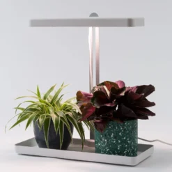 Intratuin Kweeklamp Wit Met LED Verlichting 46 X 19 X 47,5 Cm -Goedkope Hof Liefde Winkel 8717263811862 5