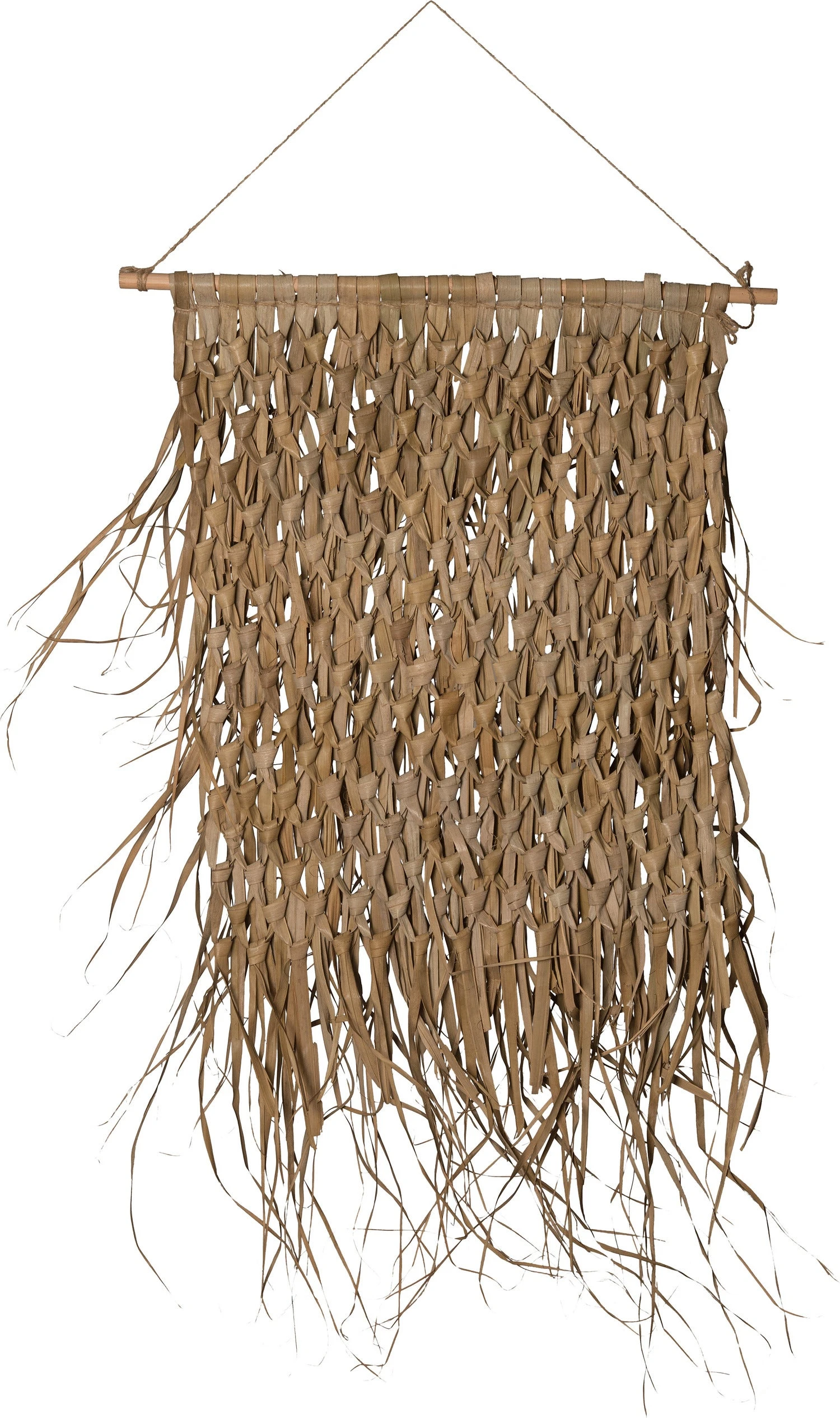 Intratuin Tuinwanddecoratie Palmblad Naturel 65 X 80 Cm 3 Intratuin Tuinwanddecoratie Palmblad Naturel 65 X 80 Cm