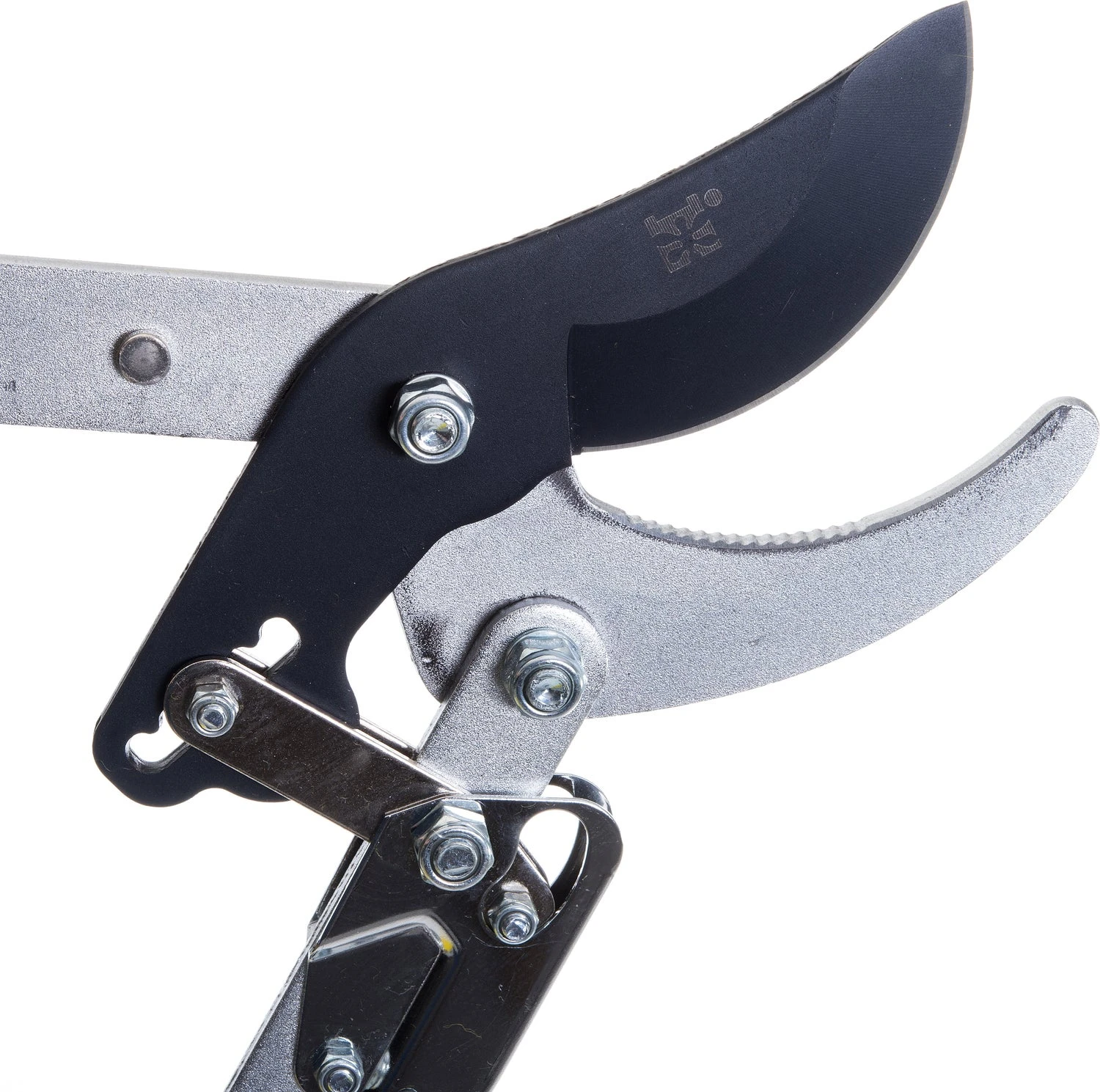 Intratuin Premium Takkenschaar Bamboe 5 Intratuin Premium Takkenschaar Bamboe - Afbeelding 3