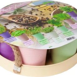 Herbs Festival Pastel (rond)