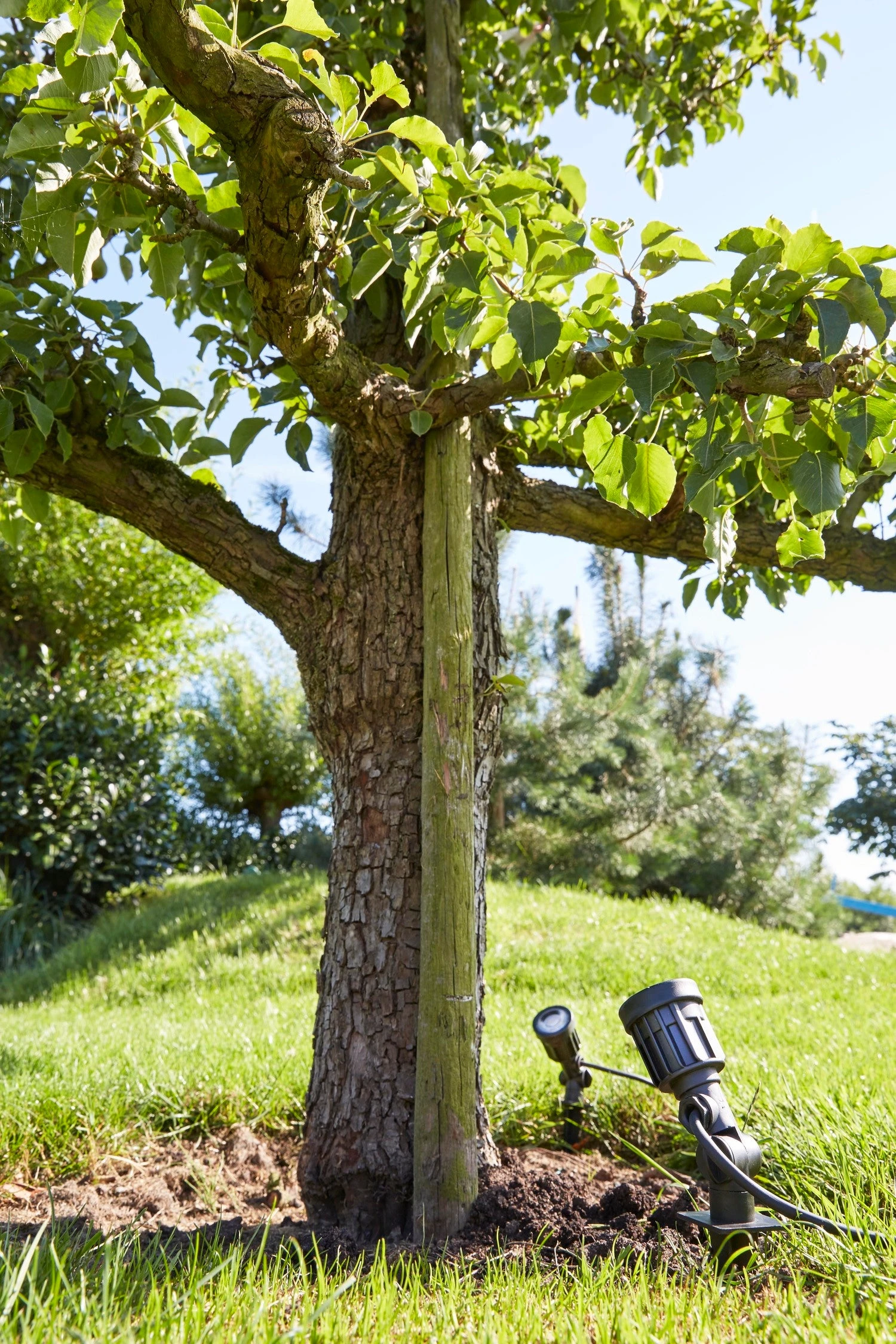 Luxform Lighting Tuinspot Dominica Zwart 5,5 X 5,5 X 13,5 Cm 4 Luxform Lighting Tuinspot Dominica Zwart 5,5 X 5,5 X 13,5 Cm - Afbeelding 2