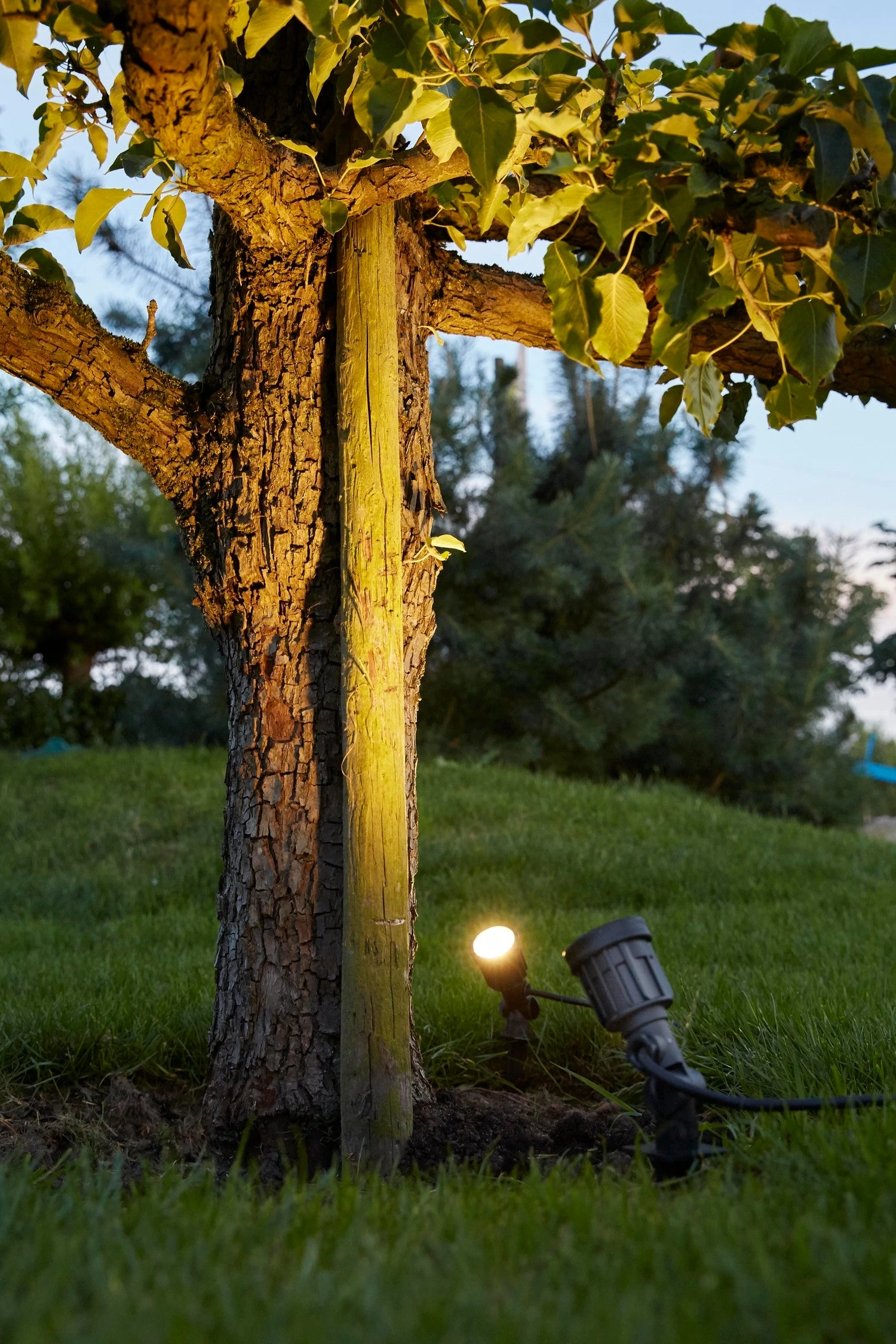 Luxform Lighting Tuinspot Dominica Zwart 5,5 X 5,5 X 13,5 Cm 5 Luxform Lighting Tuinspot Dominica Zwart 5,5 X 5,5 X 13,5 Cm - Afbeelding 3