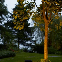 Luxform Lighting Tuinspot Dundee Zwart 2,4 X 11 X 9,7 Cm -Goedkope Hof Liefde Winkel 8719099095324 4