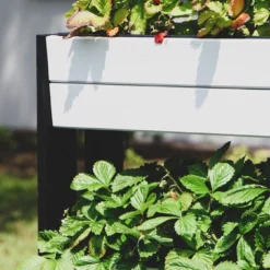Intratuin Kweektoren Op Poten Wit / Zwart 44 X 40 X 91 Cm 9 Intratuin Kweektoren Op Poten Wit / Zwart 44 X 40 X 91 Cm -Goedkope Hof Liefde Winkel 8720196350650 3
