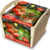 Baza Tomato Box Tomaat (Solanum Lycopersicum 'Heartbreakers Vita F1') -Goedkope Hof Liefde Winkel 8726200174601