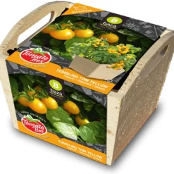 Baza Tomato Box Tomaat (Solanum Lycopersicum 'Tumbling Tom')